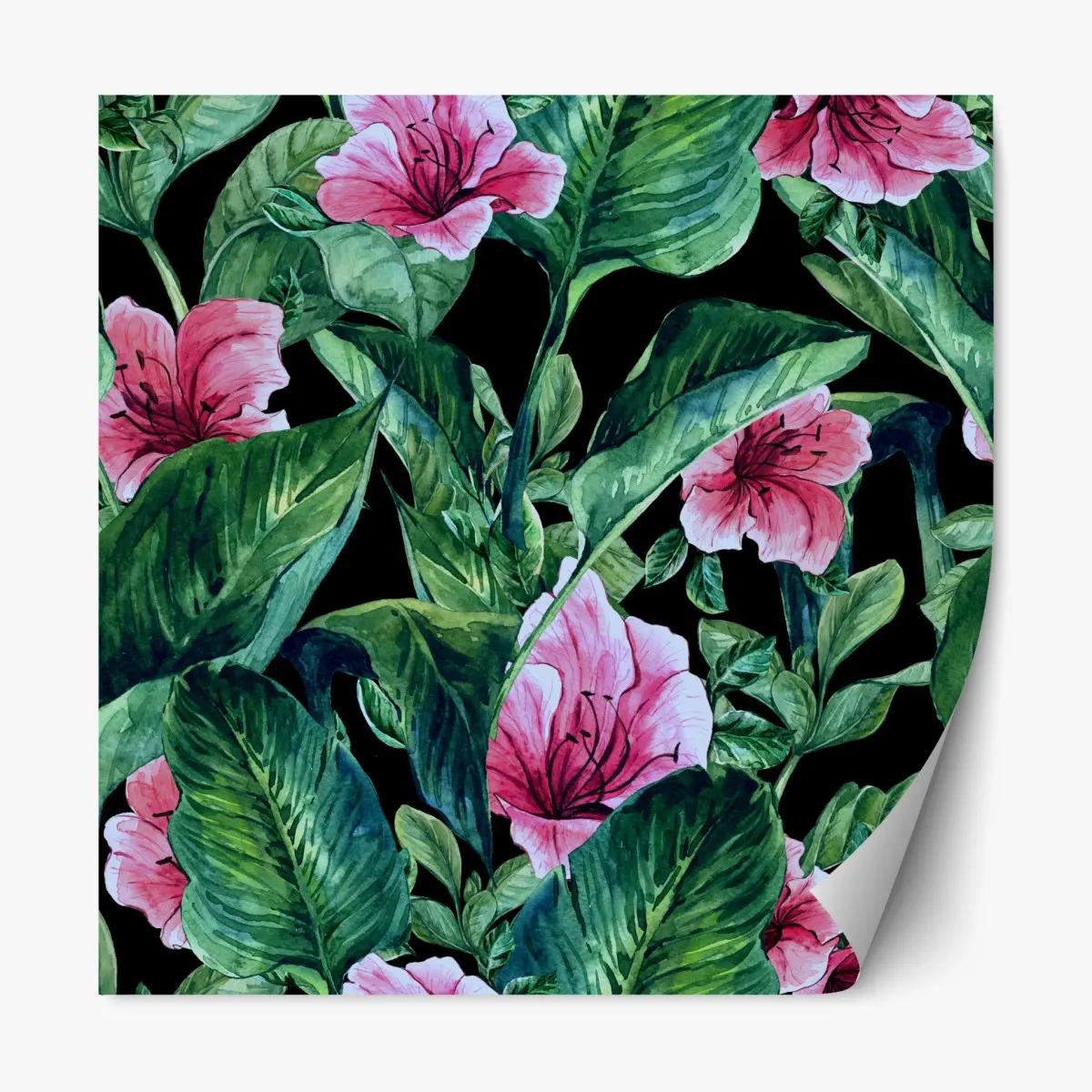 Repositionierbarer Aufkleber rosa aquarellblumen auf schwarzem hintergrund – Pixers®