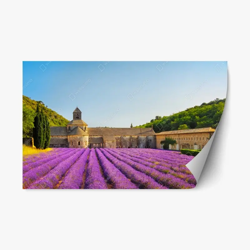 Repositionierbarer Aufkleber lavendelfelder bei Abtei Sénanque, Provence