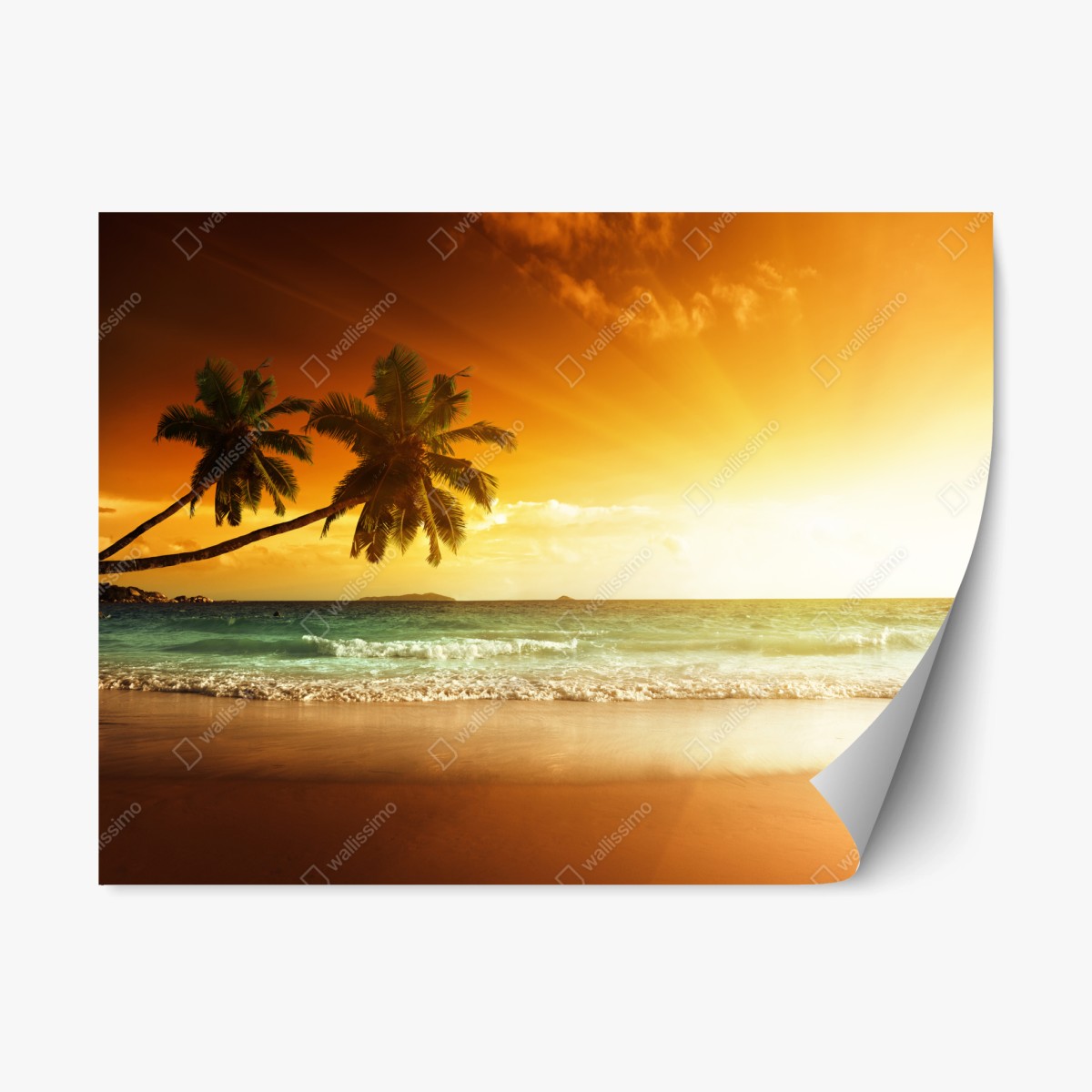 Repositionierbarer Aufkleber tropischer sonnenuntergang am strand – Pixers®