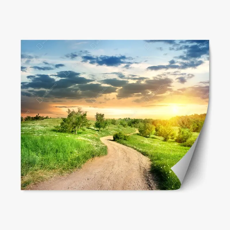 Repositionierbarer Aufkleber sonnenuntergang über einem feldweg durch grüne wiese