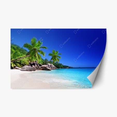 Repositionierbarer Aufkleber tropischer strand mit türkisfarbenem wasser und palmen – Pixers®