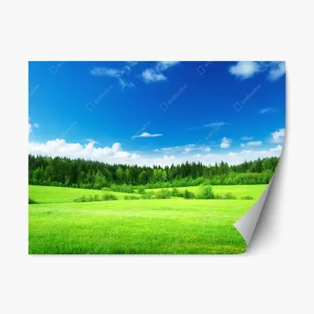 Repositionierbarer Aufkleber frühlingswiese unter blauem himmel – Pixers®