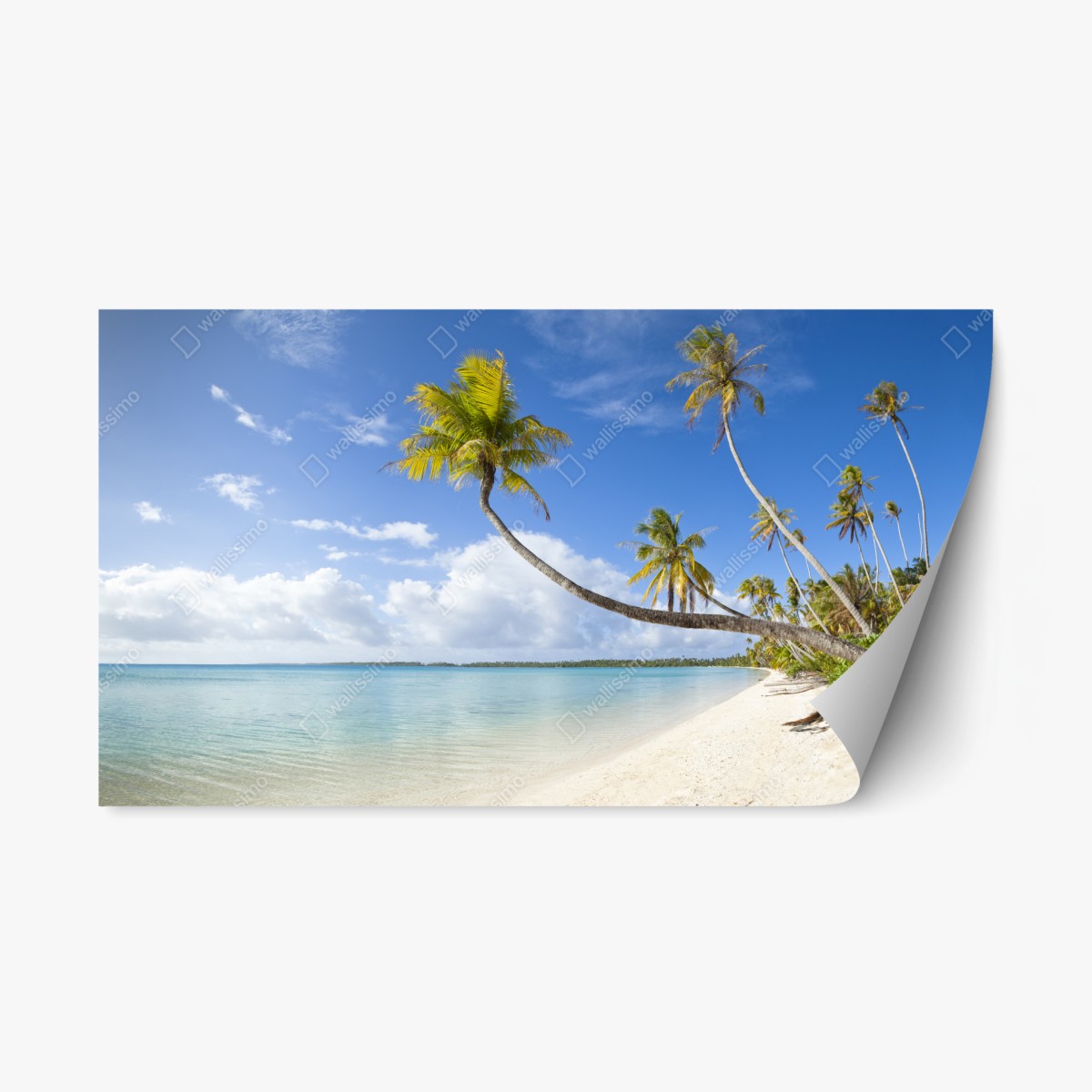 Repositionierbarer Aufkleber tropischer türkisblauer strand mit geneigter palme – Pixers®