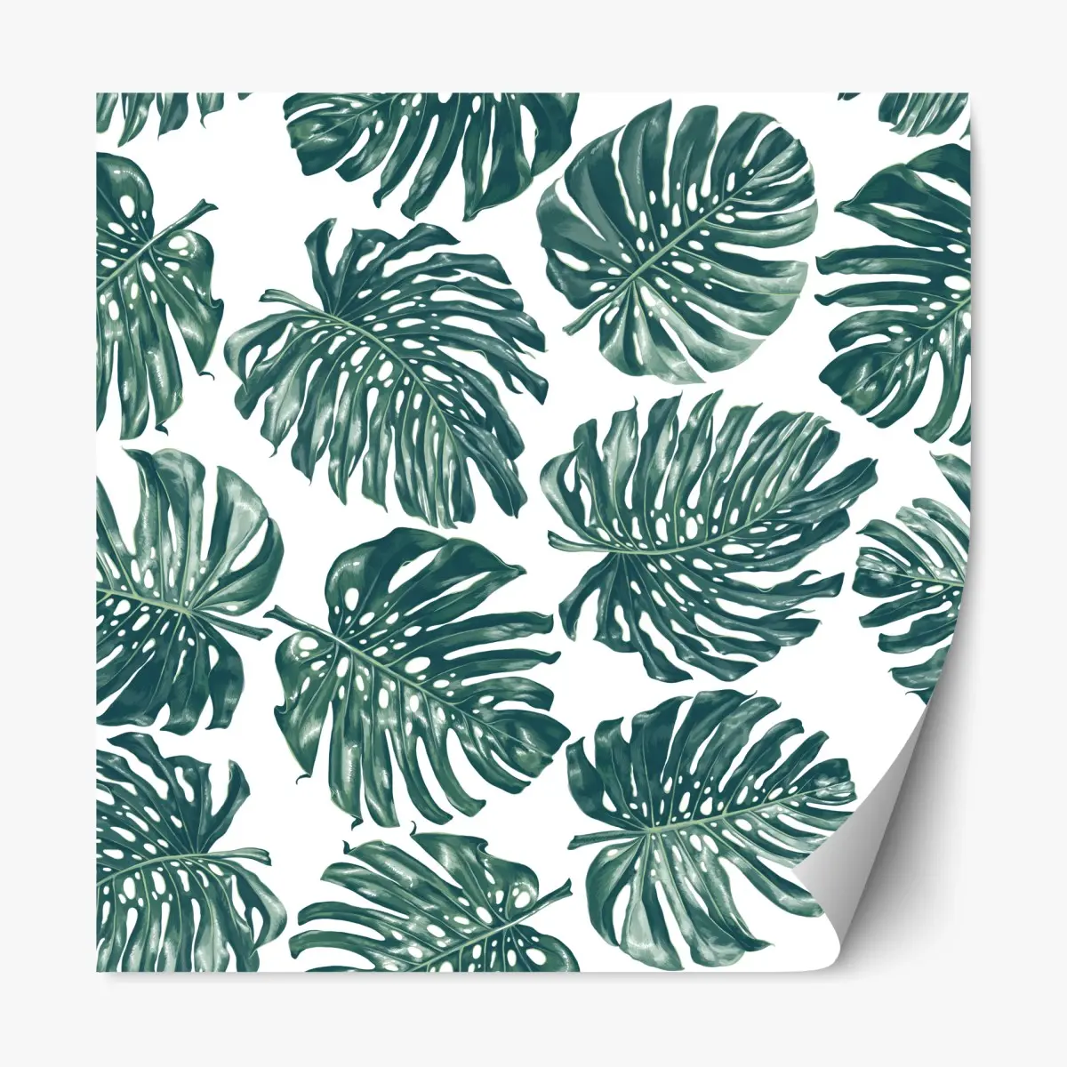 Repositionierbarer Aufkleber monstera blatt botanisches muster – Pixers®