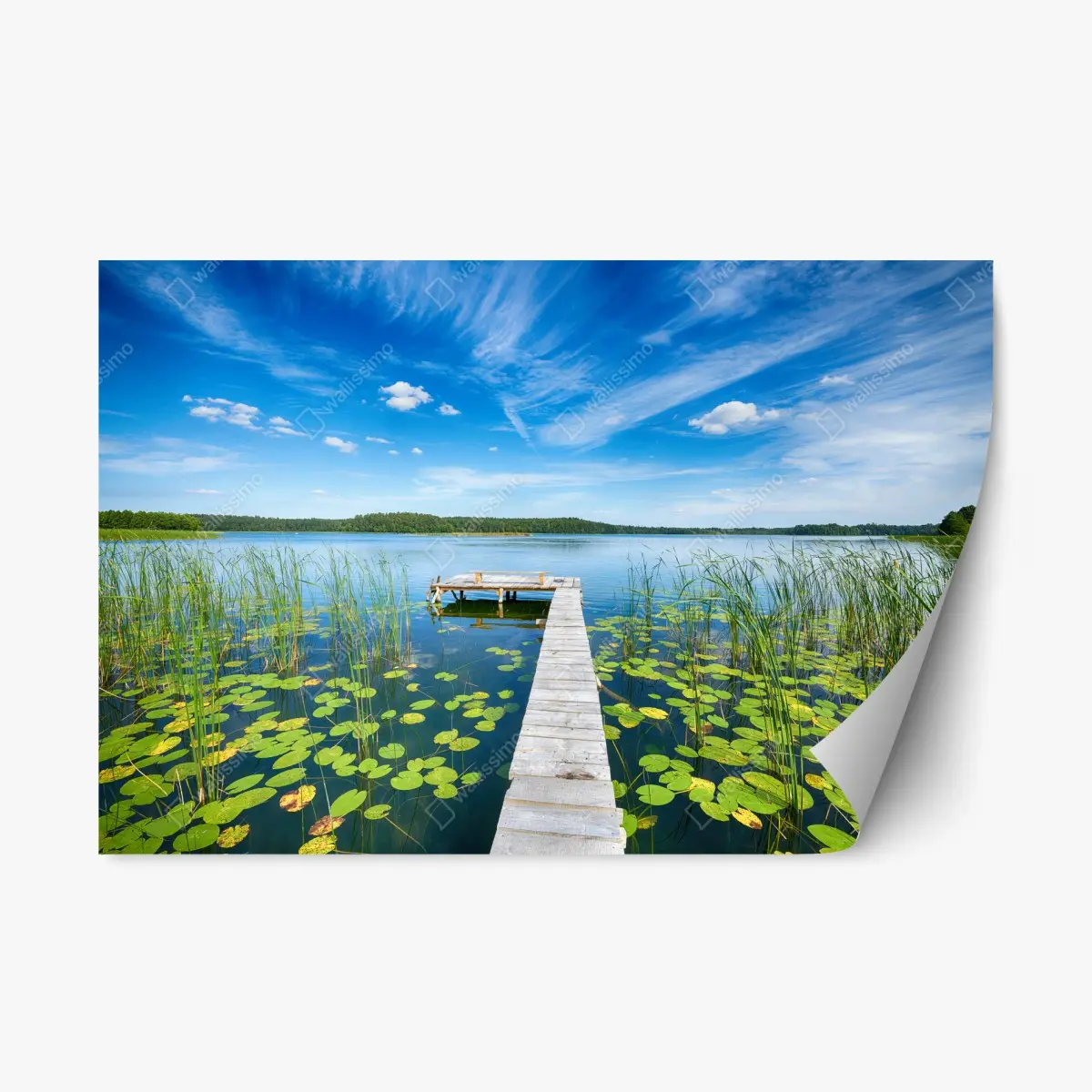Repositionierbarer Aufkleber steg in Masuren im sommer – Pixers®