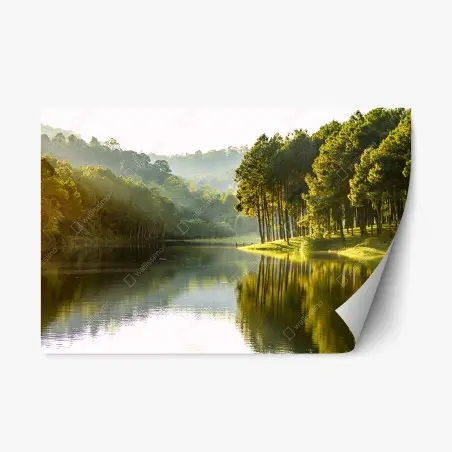 Repositionierbarer Aufkleber ruhiger kiefernwald am stillen see – Pixers®