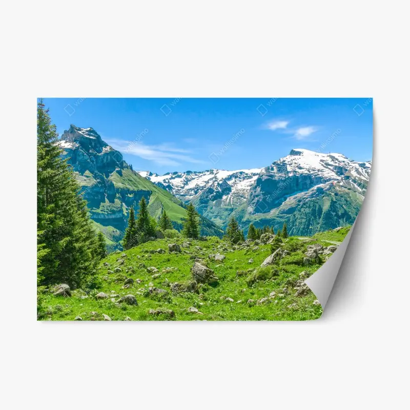 Repositionierbarer Aufkleber sonnige alpwiese in Engelberg