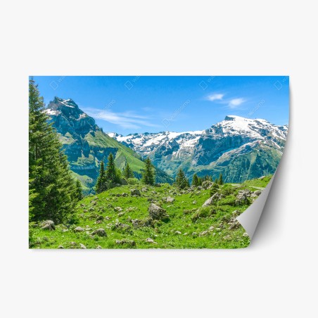 Repositionierbarer Aufkleber sonnige alpwiese in Engelberg – Pixers®