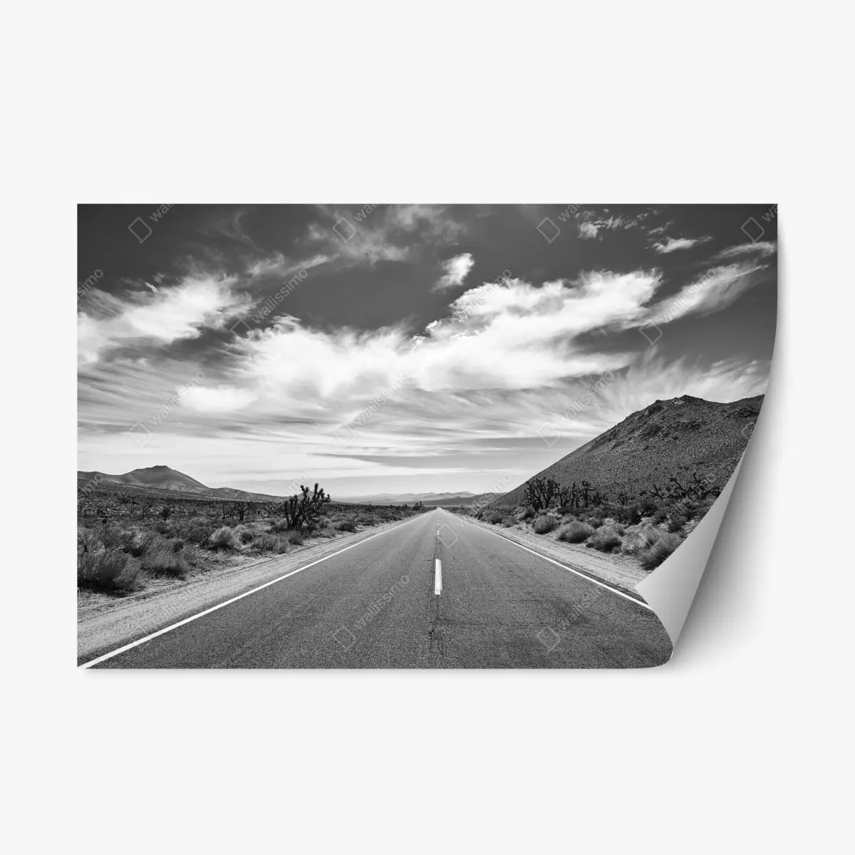Repositionierbarer Aufkleber Death Valley offene Straße in schwarzweiß – Pixers®