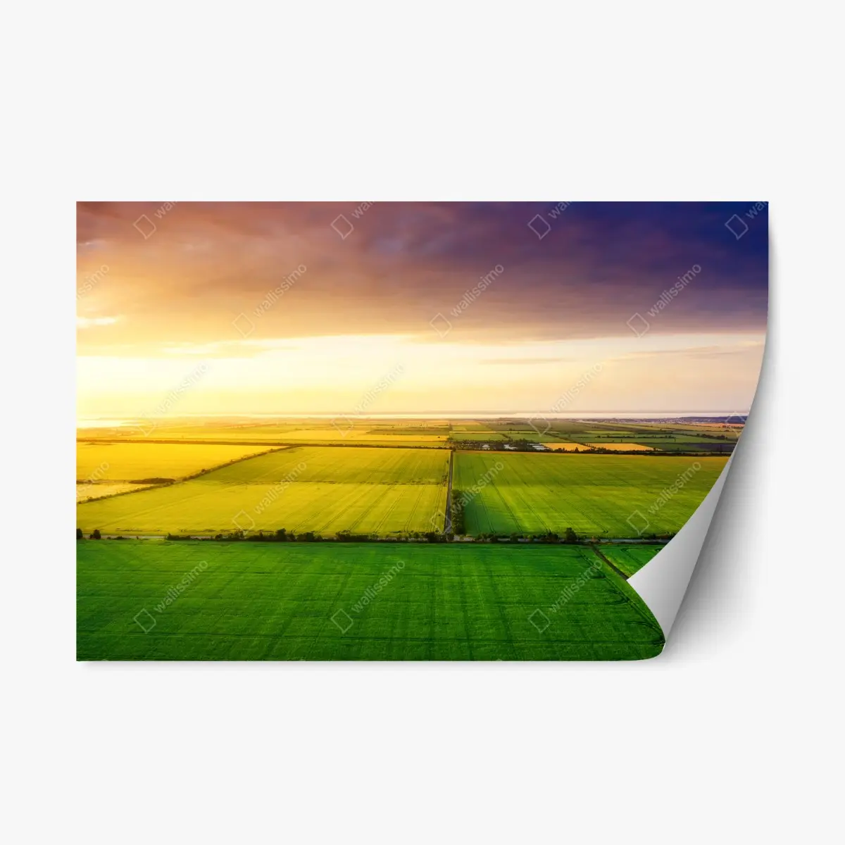 Repositionierbarer Aufkleber sonnenuntergang über grünen feldern – Pixers®