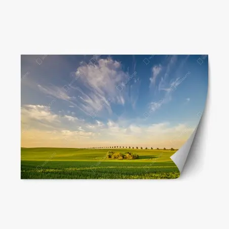 Repositionierbarer Aufkleber grüne wiese mit einer reihe junger bäume – Pixers®