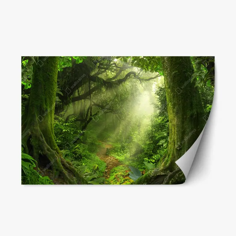Repositionierbarer Aufkleber sonnenbeschienener moosiger waldpfad