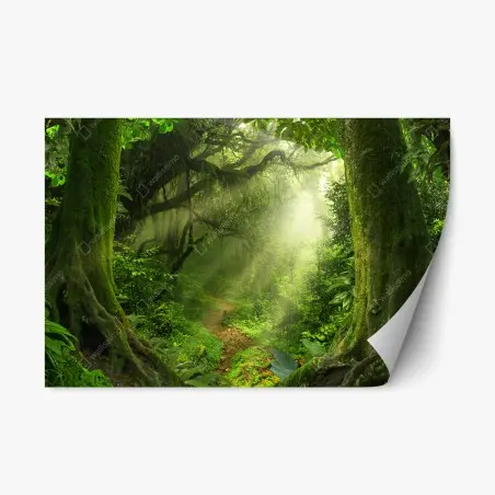 Repositionierbarer Aufkleber sonnenbeschienener moosiger waldpfad – Pixers®