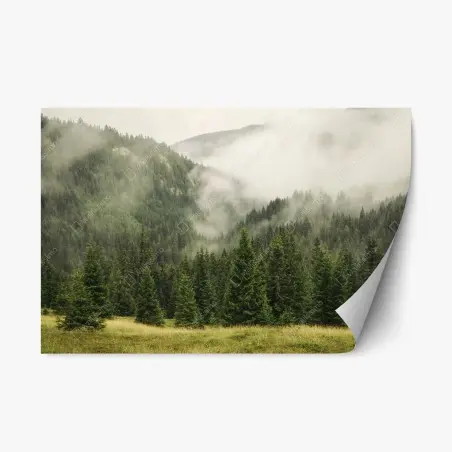 Repositionierbarer Aufkleber nebeliger nadelwald – Pixers®