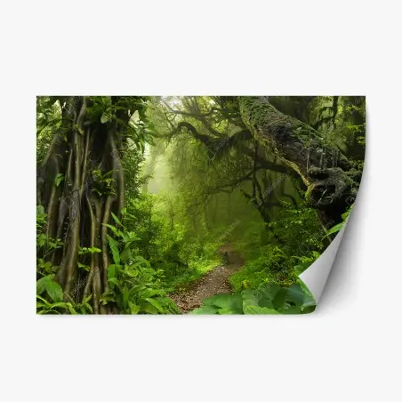 Repositionierbarer Aufkleber üppiger nebliger waldpfad – Pixers®