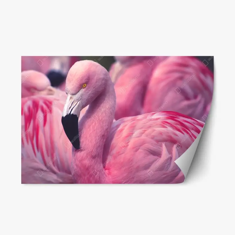 Repositionierbarer Aufkleber rosa flamingo-porträt