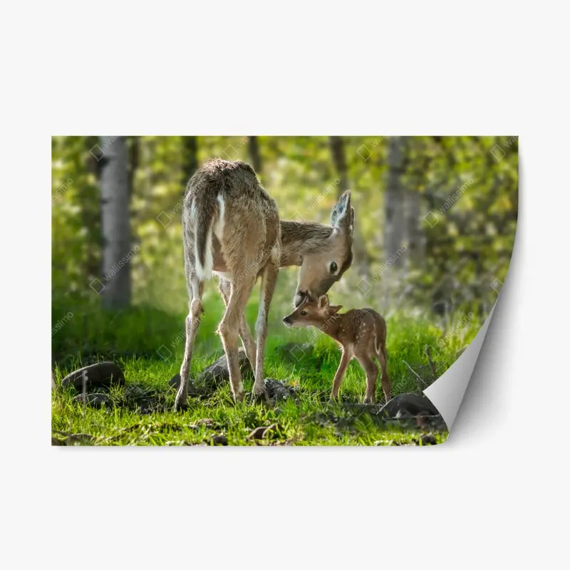 Repositionierbarer Aufkleber hirsch und kitz im sonnendurchfluteten wald