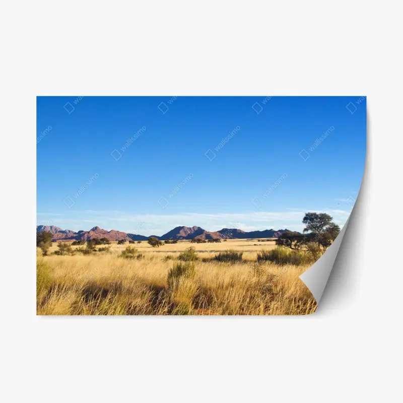 Repositionierbarer Aufkleber ruhige savannenlandschaft unter klarem blauem himmel