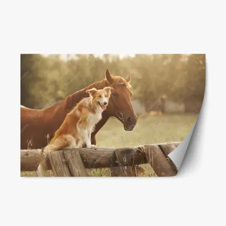 Repositionierbarer Aufkleber sonnige gefährten: hund und pferd – Pixers®