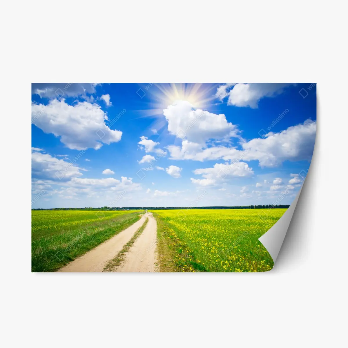 Repositionierbarer Aufkleber gelbes rapsfeld unter blauem himmel – Pixers®