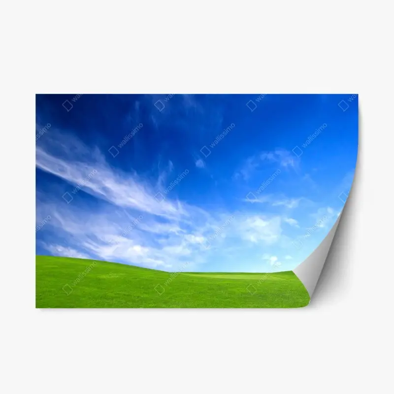 Repositionierbarer Aufkleber sonnige grüne wiese unter blauem himmel