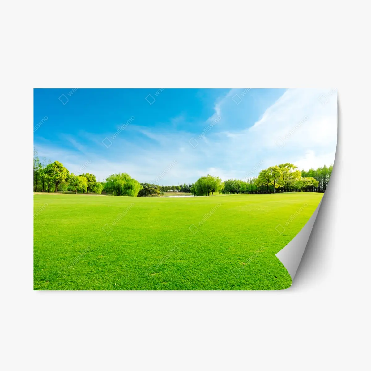 Repositionierbarer Aufkleber friedliche grüne wiese unter blauem himmel – Pixers®