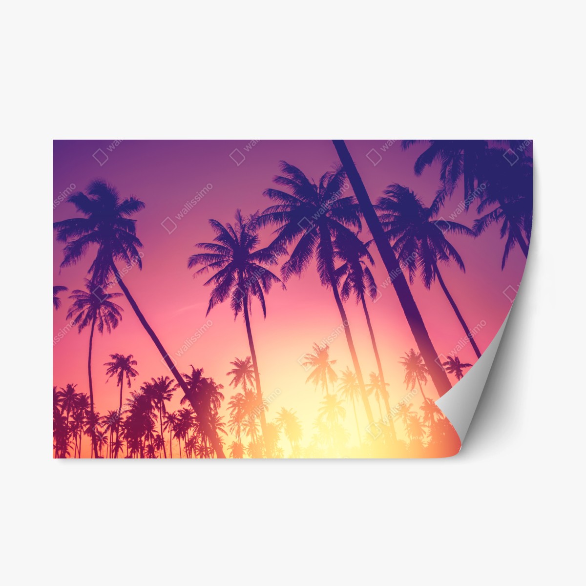 Repositionierbarer Aufkleber tropischer sonnenuntergang mit palmensilhouette – Pixers®