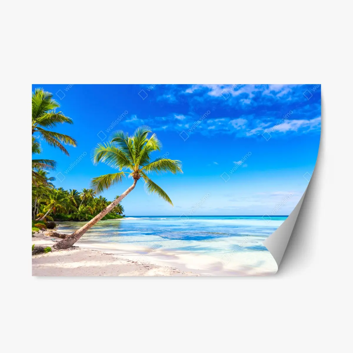 Repositionierbarer Aufkleber tropischer palmenstrand – Pixers®