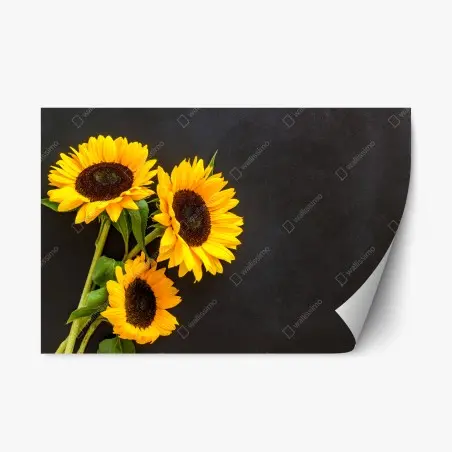 Repositionierbarer Aufkleber sonnenblumenstrauß auf schwarzem hintergrund – Pixers®
