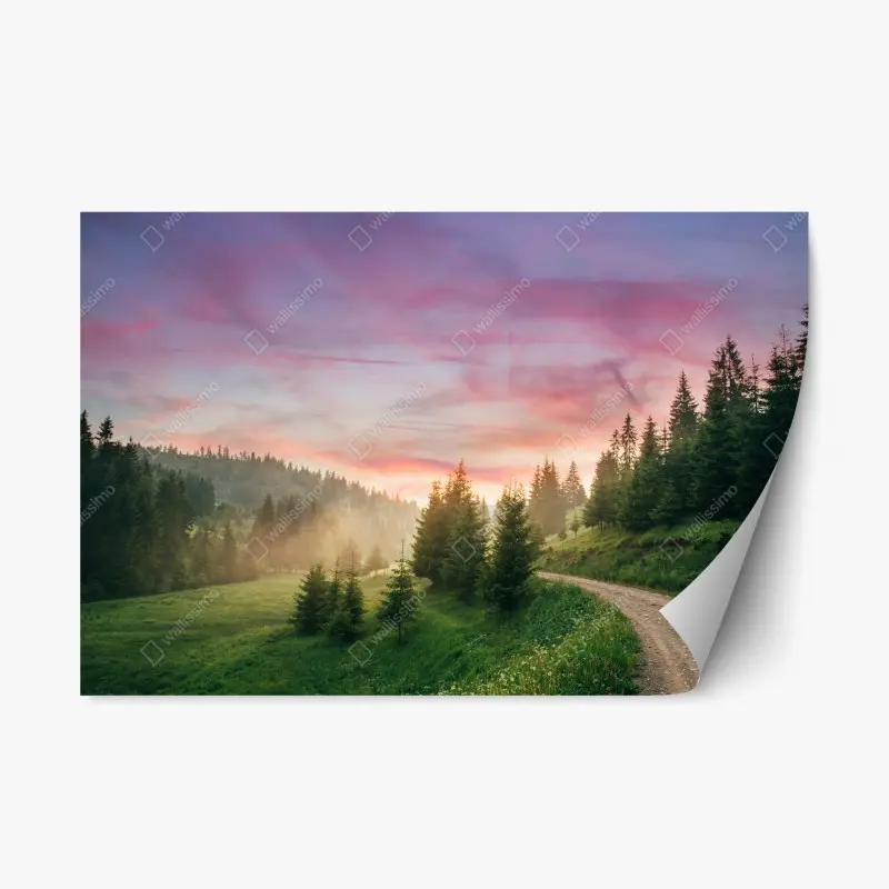 Repositionierbarer Aufkleber nebliger sonnenuntergang im kiefernwald