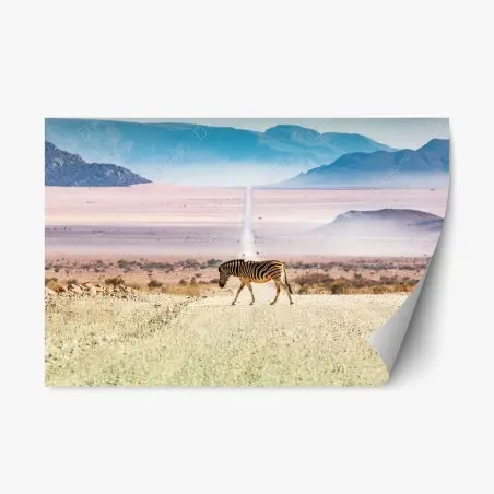 Repositionierbarer Aufkleber zebra auf der wüstenstraße – Pixers®