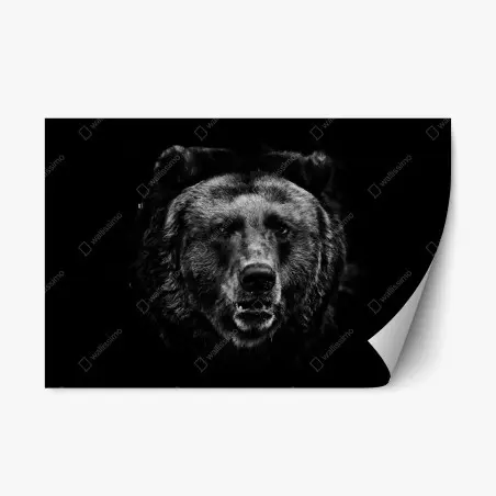 Repositionierbarer Aufkleber düsteres grizzly-porträt in monochrom – Pixers®