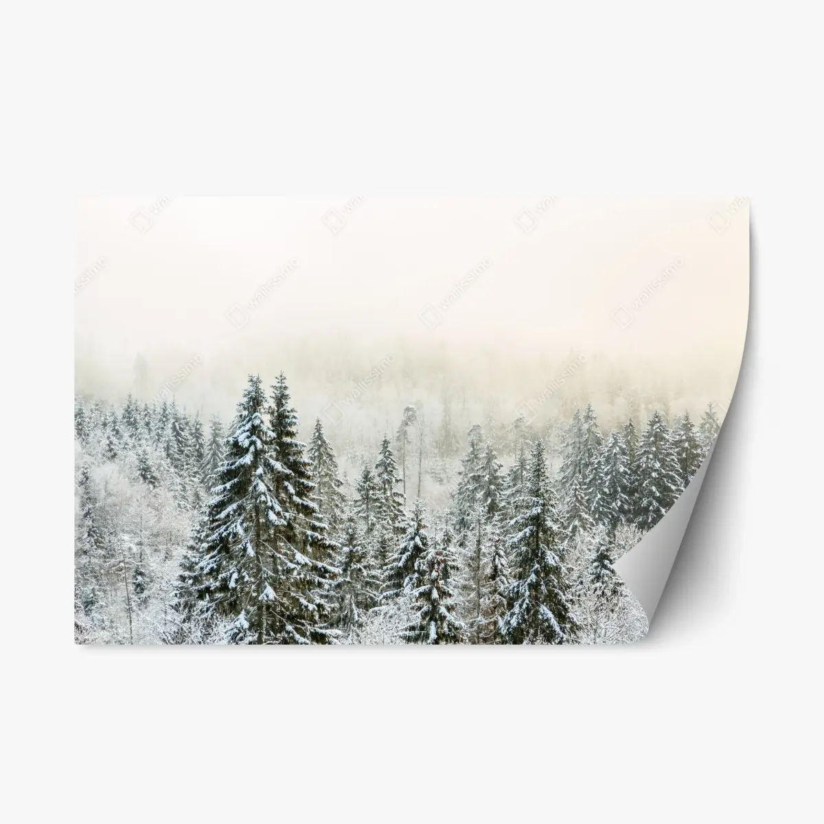 Repositionierbarer Aufkleber verschneiter wald im sanften nebel – Pixers®