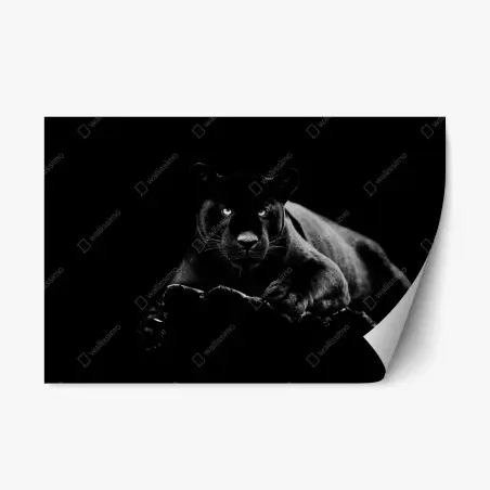 Repositionierbarer Aufkleber majestätisches porträt eines schwarzen panthers – Pixers®