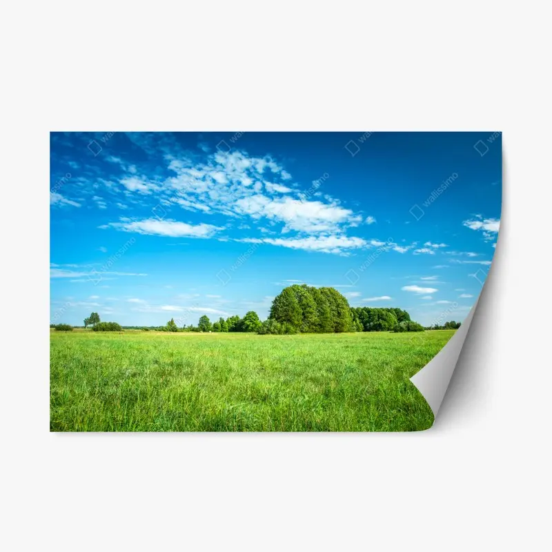 Repositionierbarer Aufkleber sonnige grüne wiese unter blauem himmel
