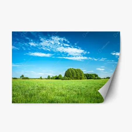 Repositionierbarer Aufkleber sonnige grüne wiese unter blauem himmel – Pixers®