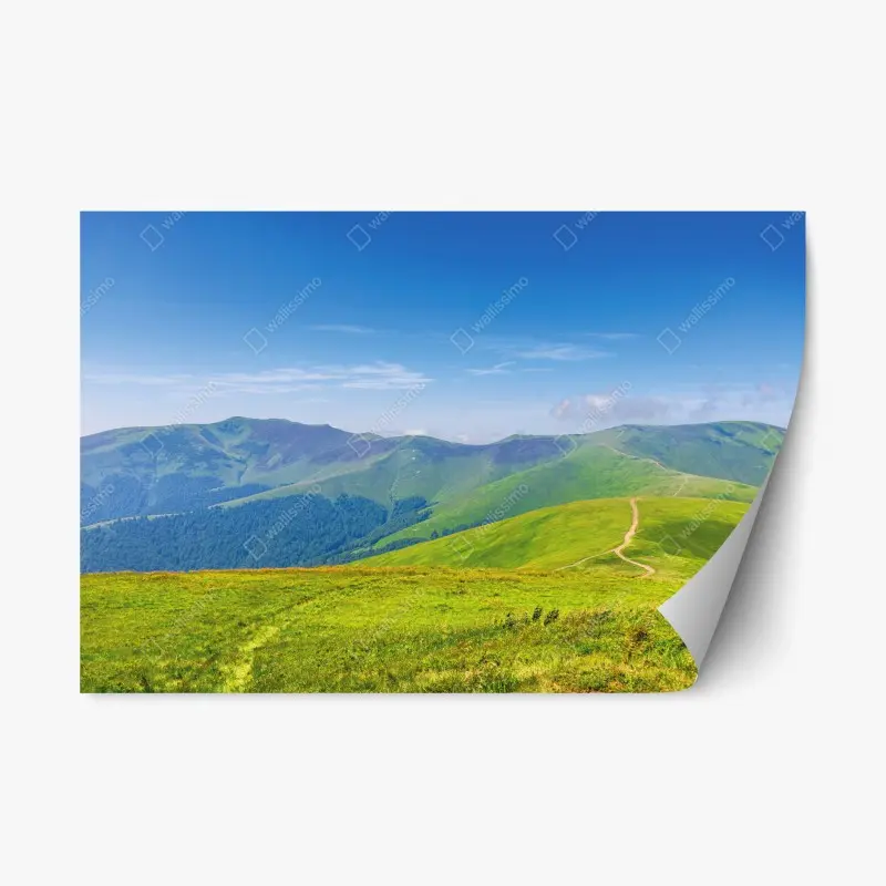 Repositionierbarer Aufkleber sonnige Borzhava-wiese, Transkarpatien, Ukraine