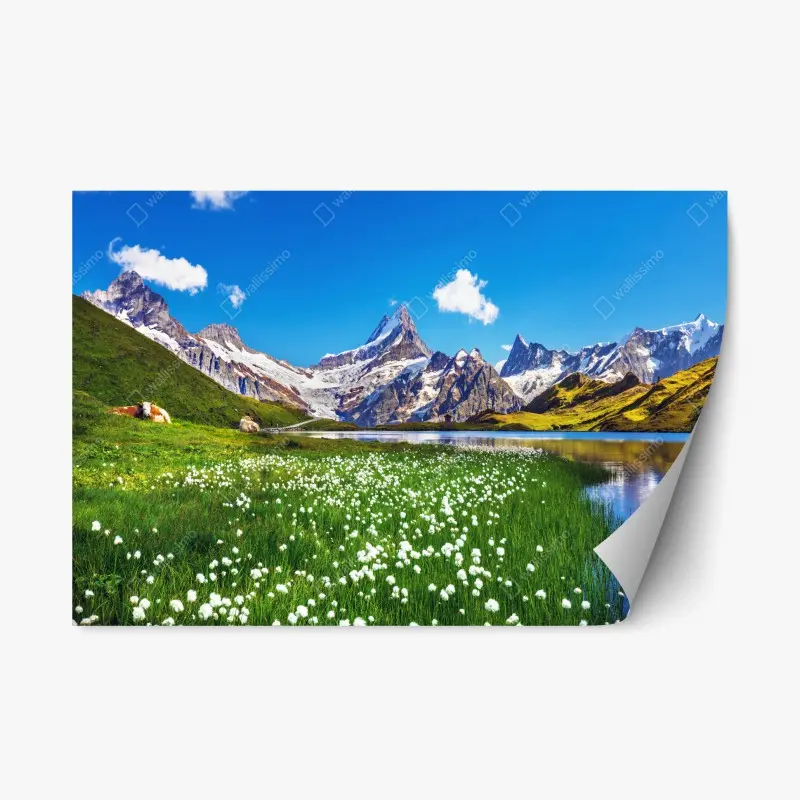 Repositionierbarer Aufkleber alpensee mit blumenwiese und berggipfeln