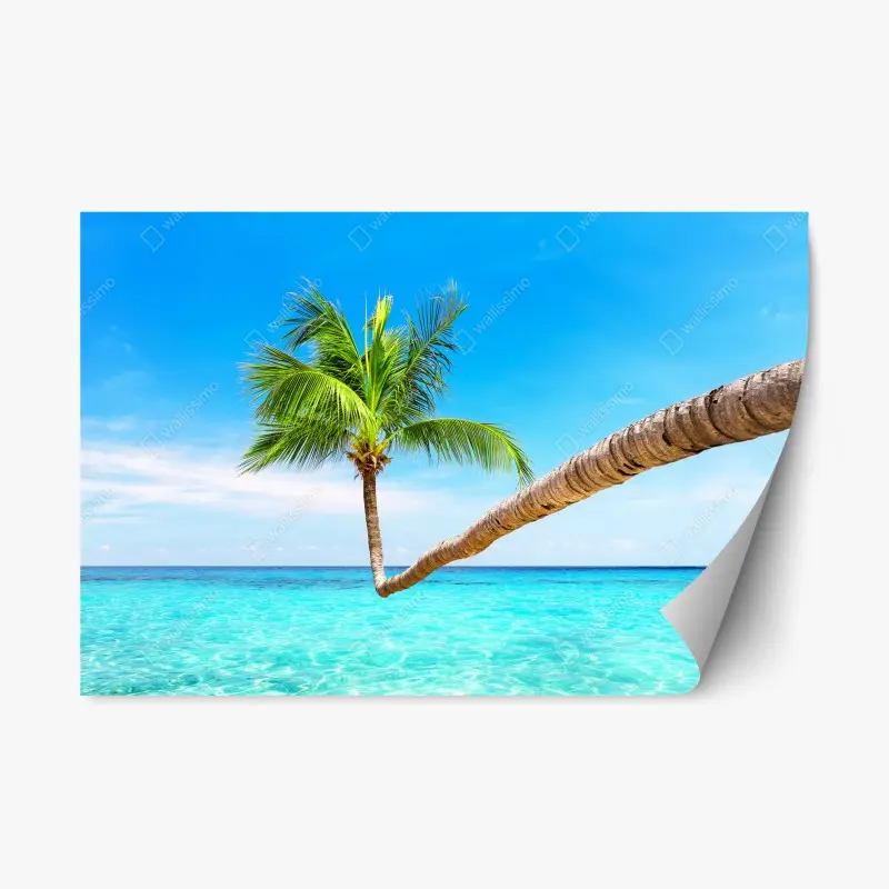 Repositionierbarer Aufkleber tropische palme in Punta Cana