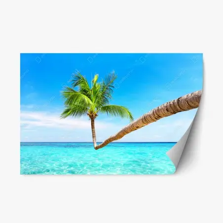 Repositionierbarer Aufkleber tropische palme in Punta Cana – Pixers®
