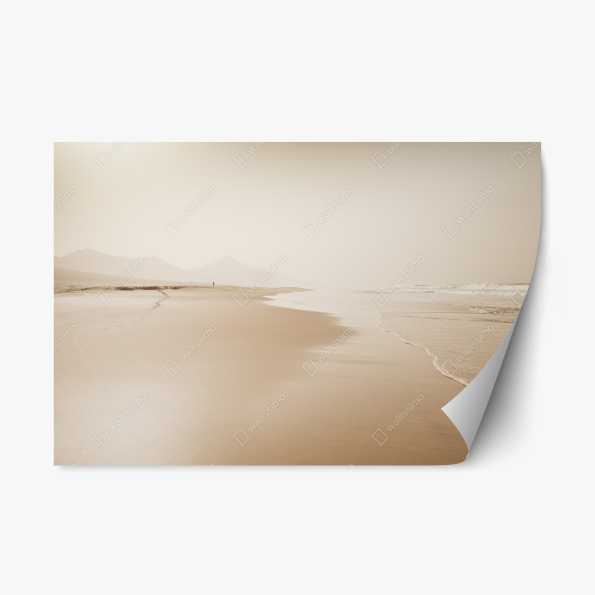 Repositionierbarer Aufkleber ruhiger sepia strand – Pixers®