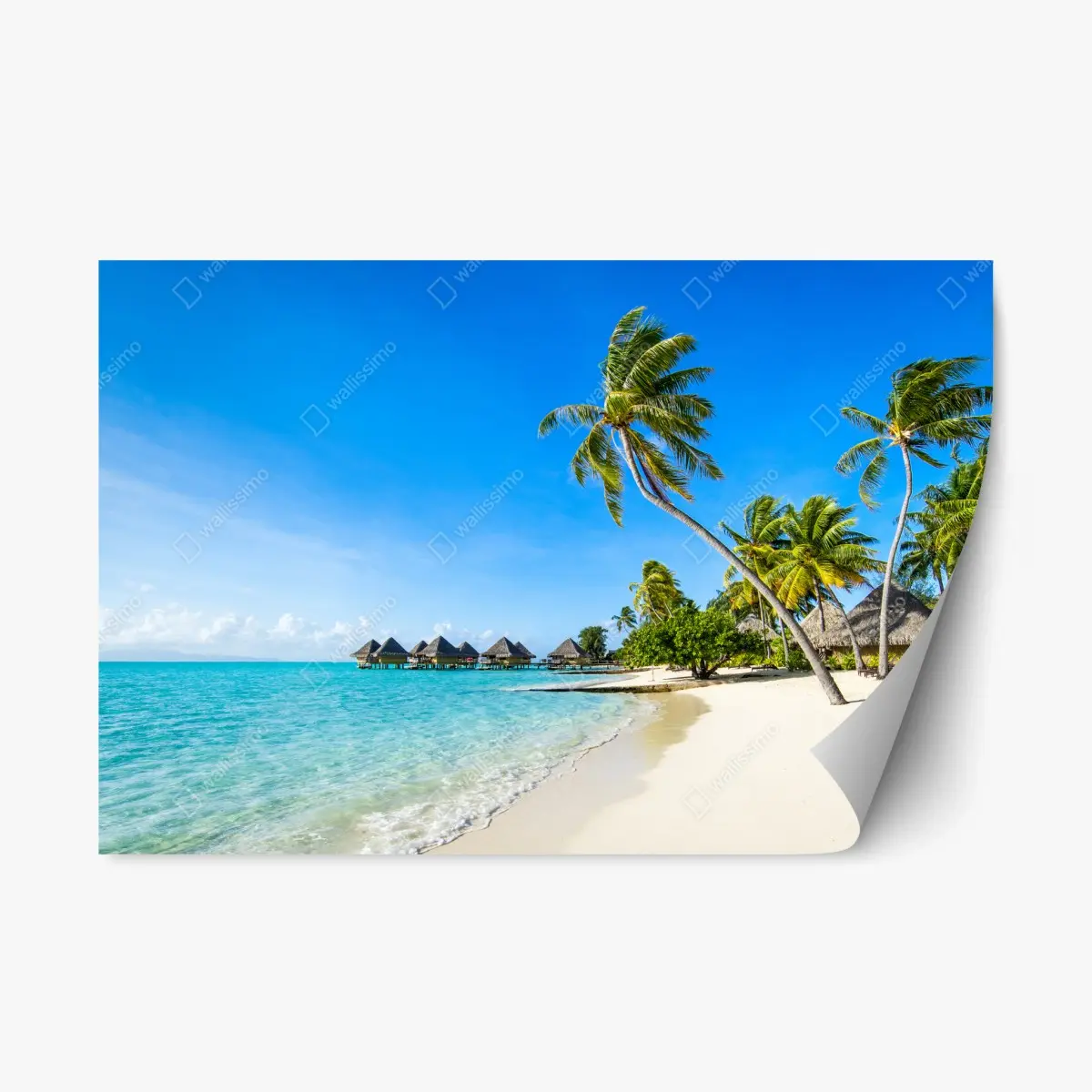 Repositionierbarer Aufkleber tropischer türkisfarbener strand mit palmen – Pixers®
