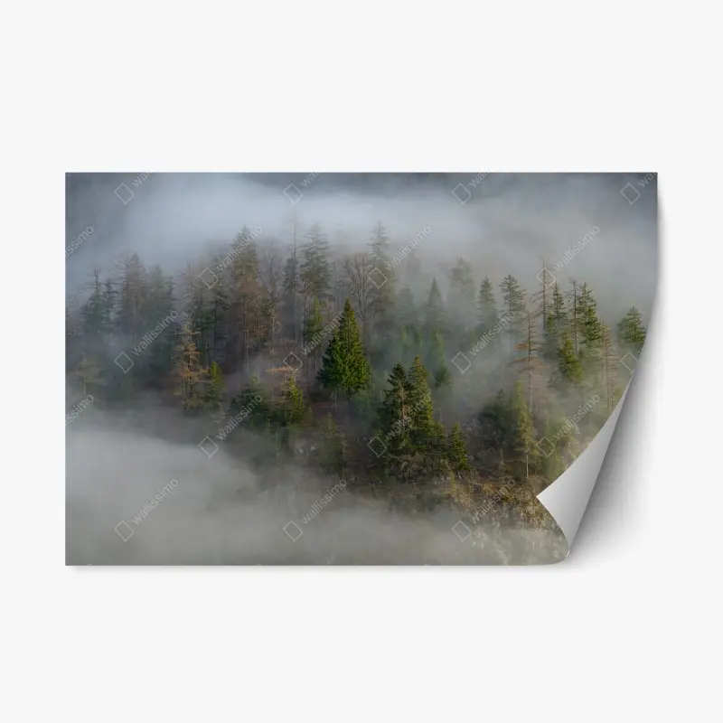 Repositionierbarer Aufkleber nebliger bergwald