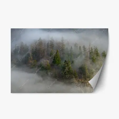 Repositionierbarer Aufkleber nebliger bergwald – Pixers®