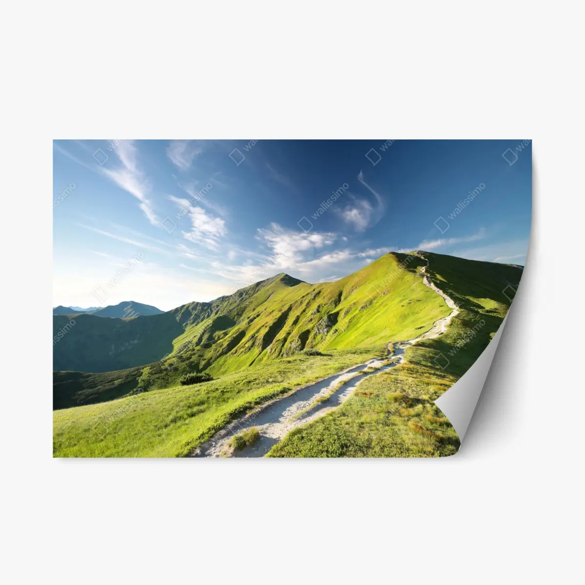 Repositionierbarer Aufkleber sonnenbeschienener berggrat mit pfad – Pixers®