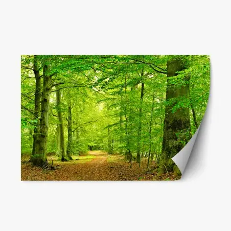Repositionierbarer Aufkleber ruhiger grüner waldpfad – Pixers®