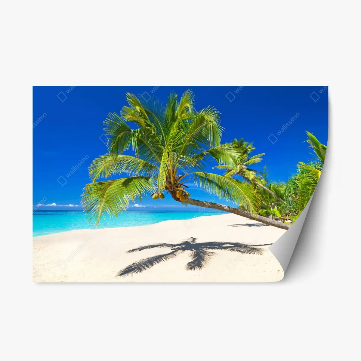 Repositionierbarer Aufkleber Andamansee tropischer strand mit geneigter palme – Pixers®