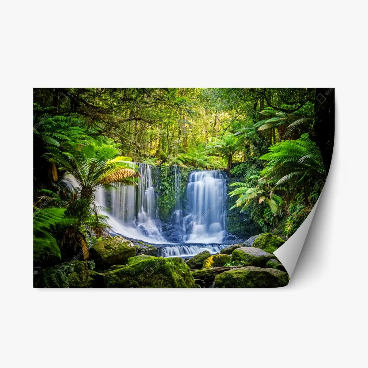 Repositionierbarer Aufkleber üppiger wasserfall im Mt Field National Park, Tasmania – Pixers®