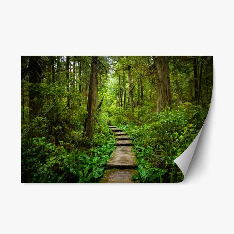 Repositionierbarer Aufkleber ruhiger waldsteg
