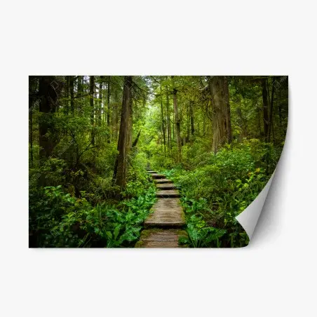 Repositionierbarer Aufkleber ruhiger waldsteg – Pixers®